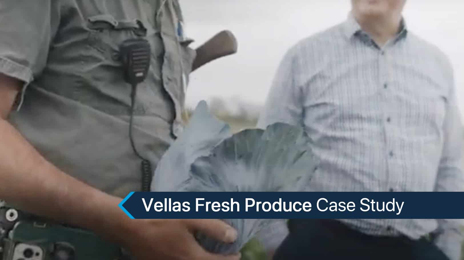 Vellas-Fresh-Produce-Case-Study